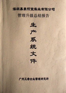 深圳市嘉豪何室實業(yè)有限公司管理升級總結(jié)報告