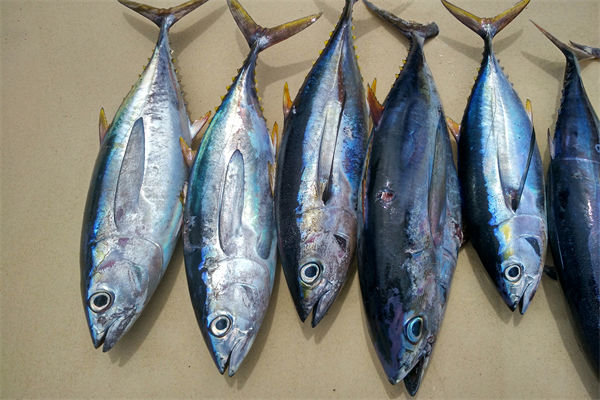 商務(wù)部：將幫助外貿(mào)企業(yè)擴(kuò)寬內(nèi)銷渠道，政策解讀！
